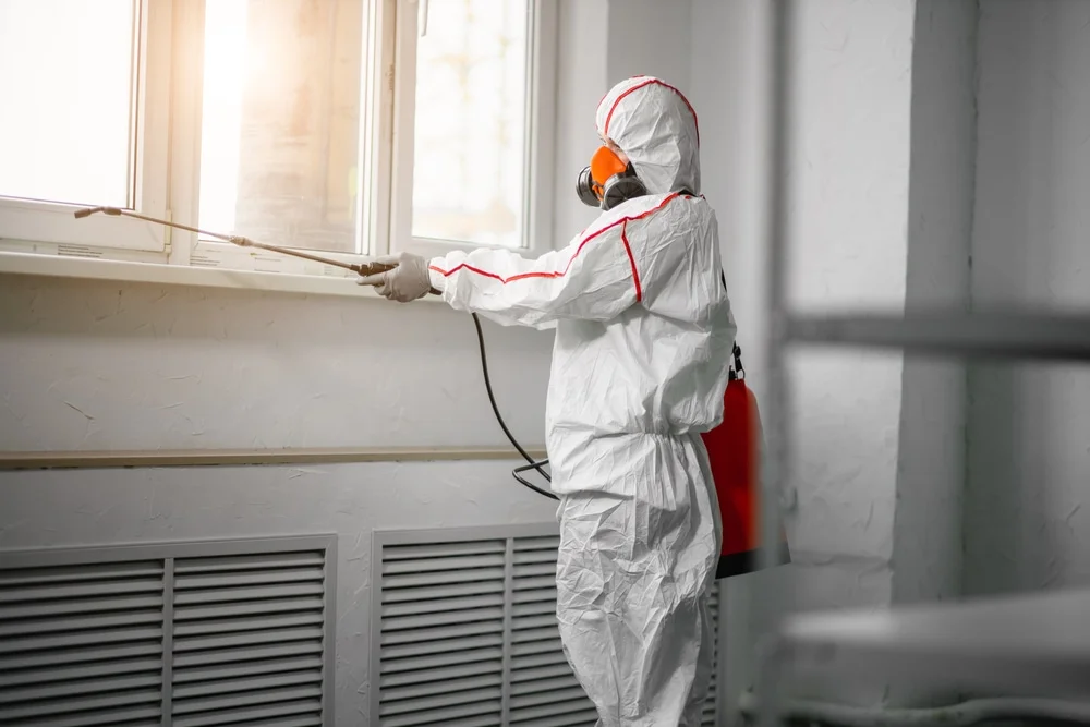 Professional mold remediation services in Roberts, WI